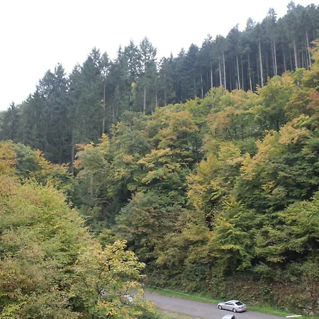 Moselromantik Weissmuehle 3* Cochem