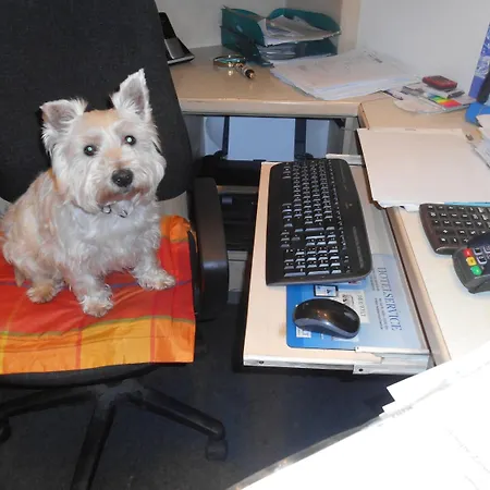 酒店 维斯穆尔穆萨罗曼蒂克酒店