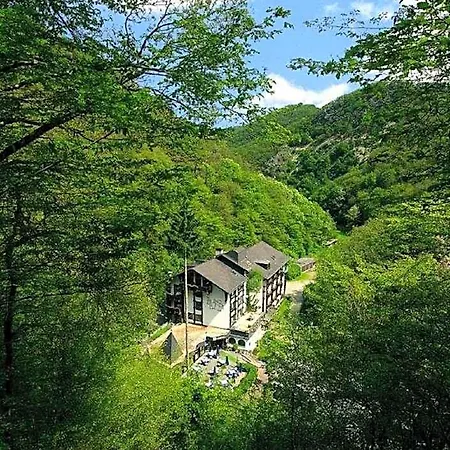 Hotel Moselromantik Weissmuehle 3*