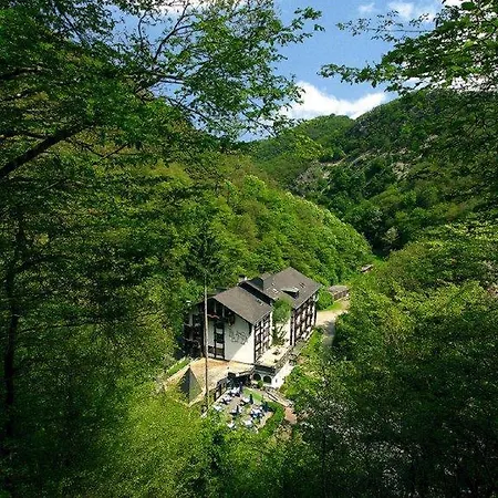 Moselromantik Weissmuehle 3*