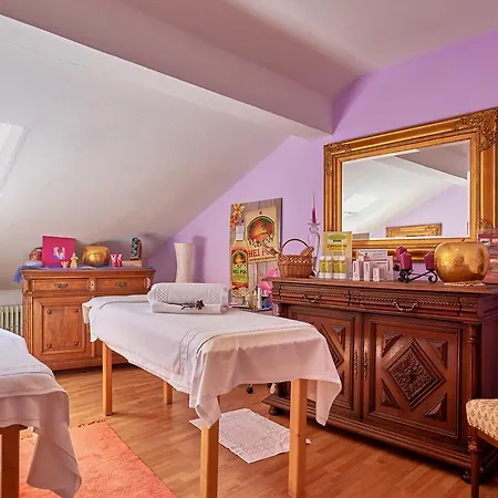Hotel Moselromantik Weissmuehle 3*