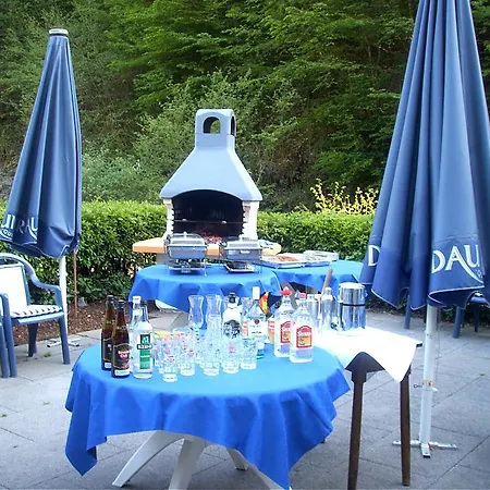 Hotel Moselromantik Weissmuehle 3*