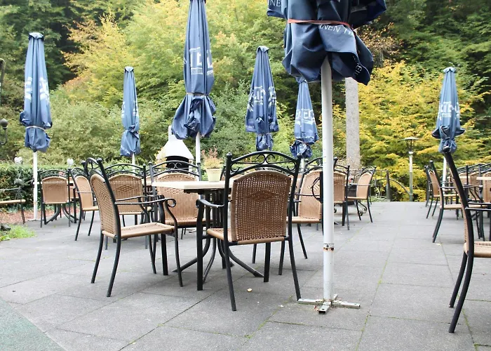 Hotel Moselromantik Weissmuehle 3*