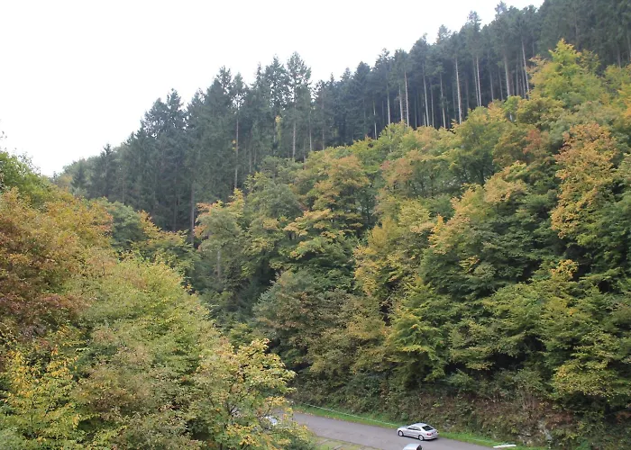 Moselromantik Weissmuehle 3* Cochem