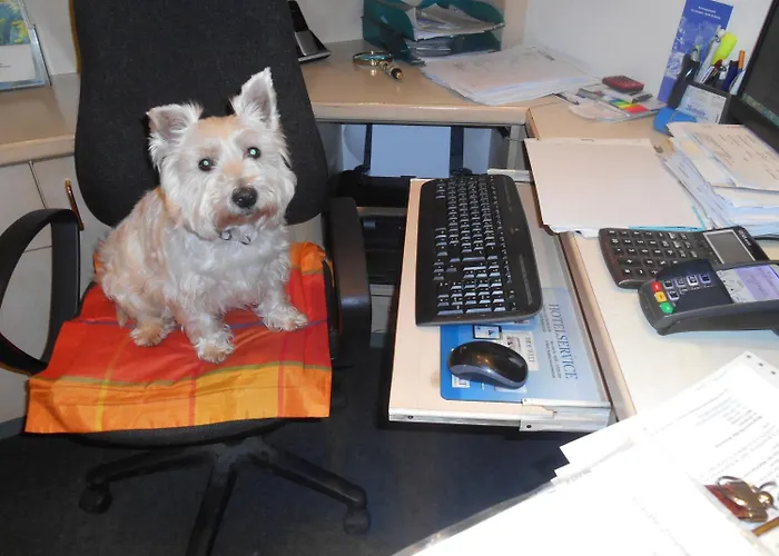 Hotel Moselromantik Weissmuehle